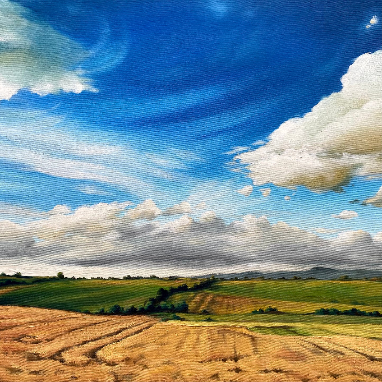 Landschaftsgemälde "Kornfeld" in Öl 60 x 80 cm