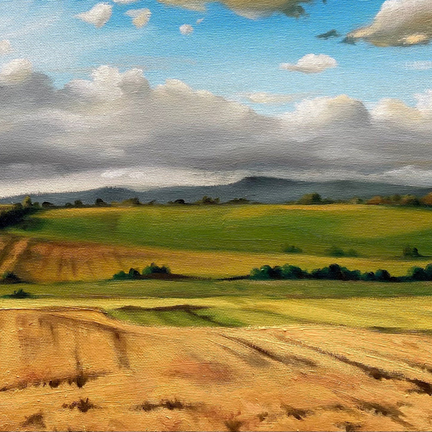 Landschaftsgemälde "Kornfeld" in Öl 60 x 80 cm